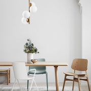 златист-полилей-16-521shn3427-0