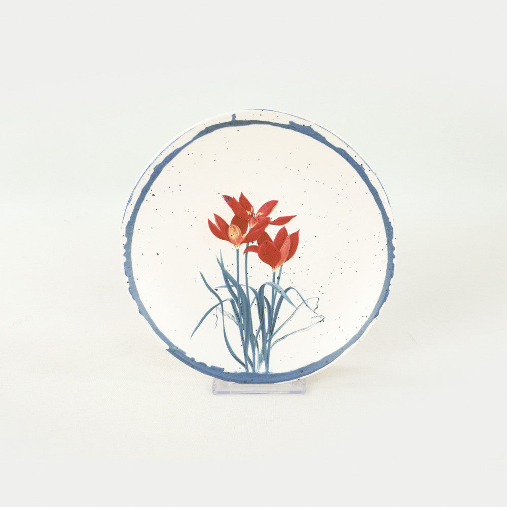 многоцветен-сервиз-за-хранене-27-275krm1595-0