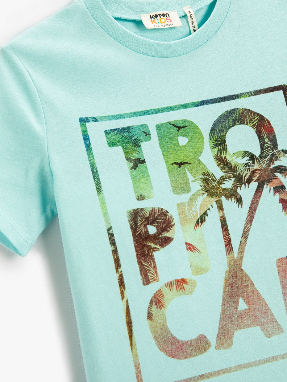 мента-тениска-31-2skb10027tk-3