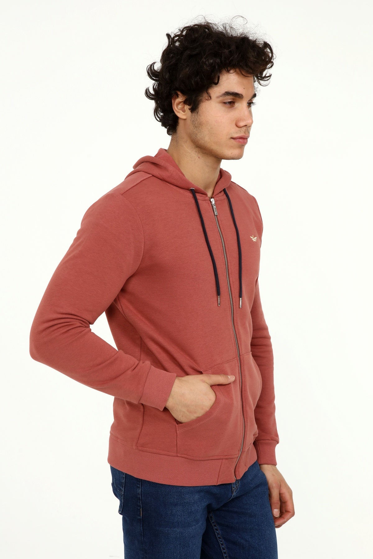 пурпурен-суитчър-10-dusty-1