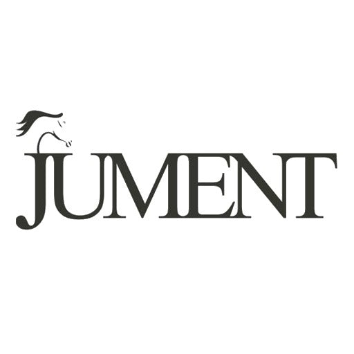 Jument