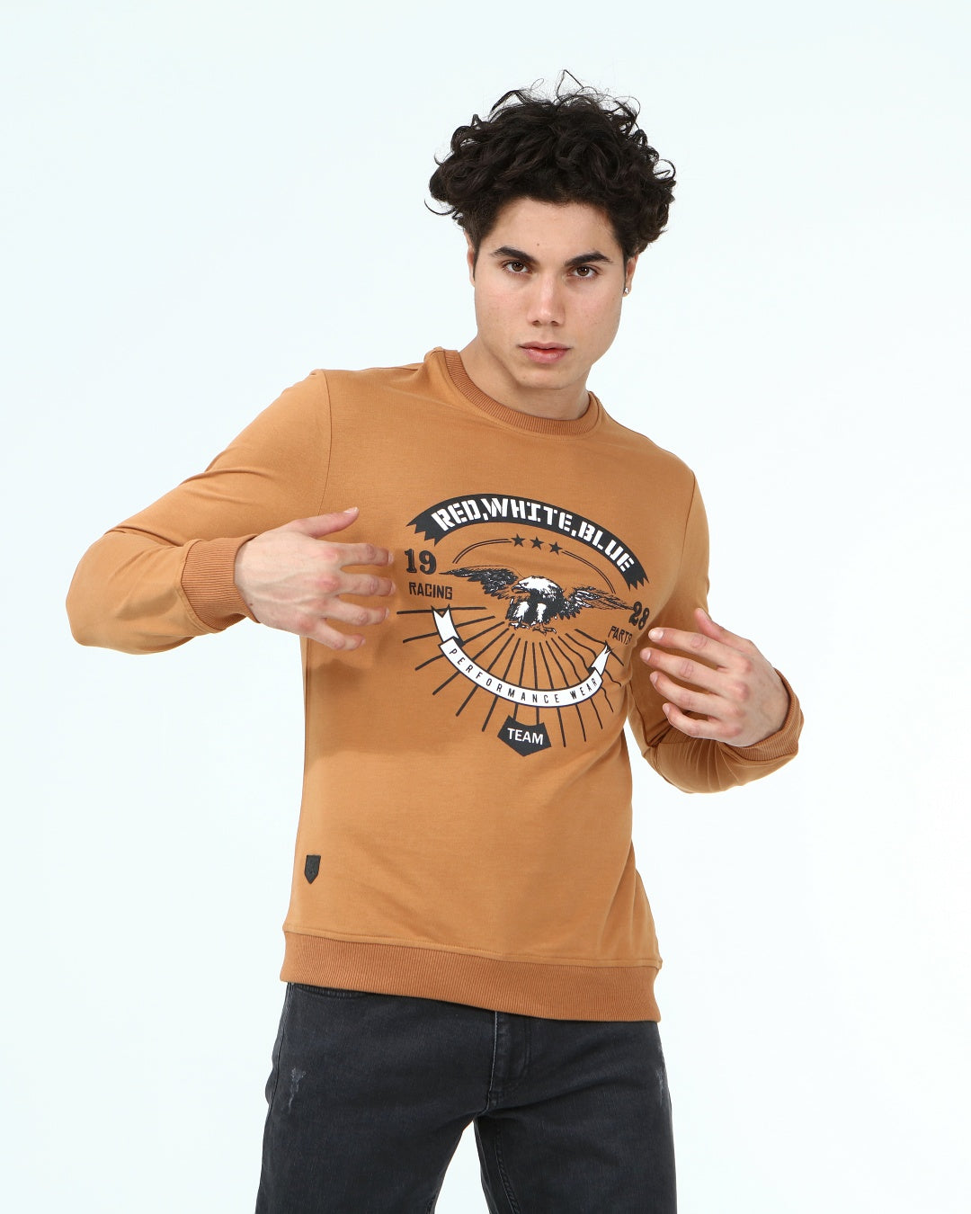 кафяв-суитчър-10-albert-1