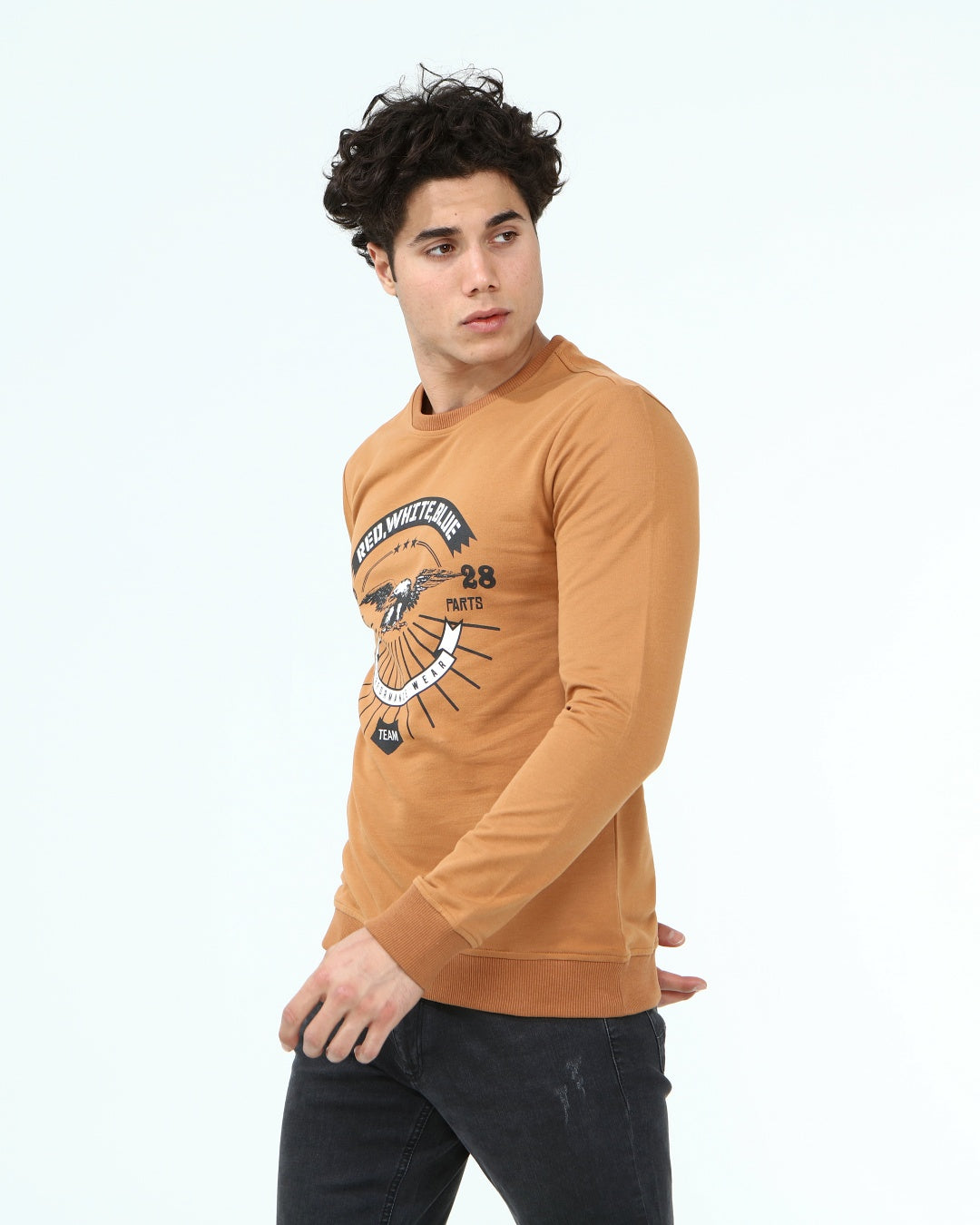 кафяв-суитчър-10-albert-1