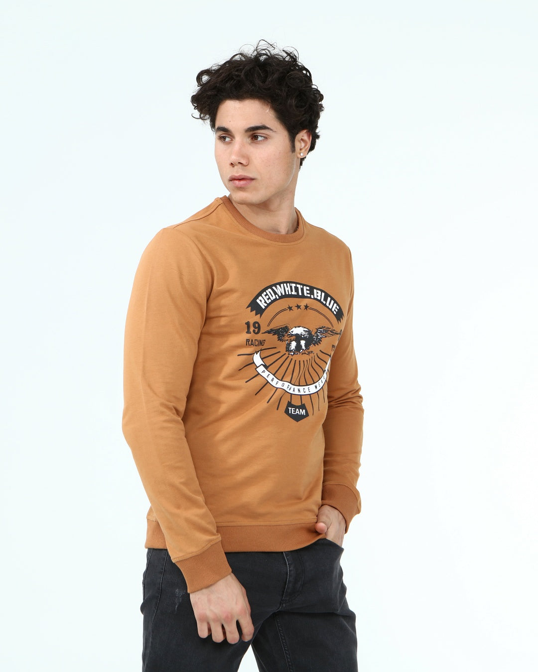 кафяв-суитчър-10-albert-1