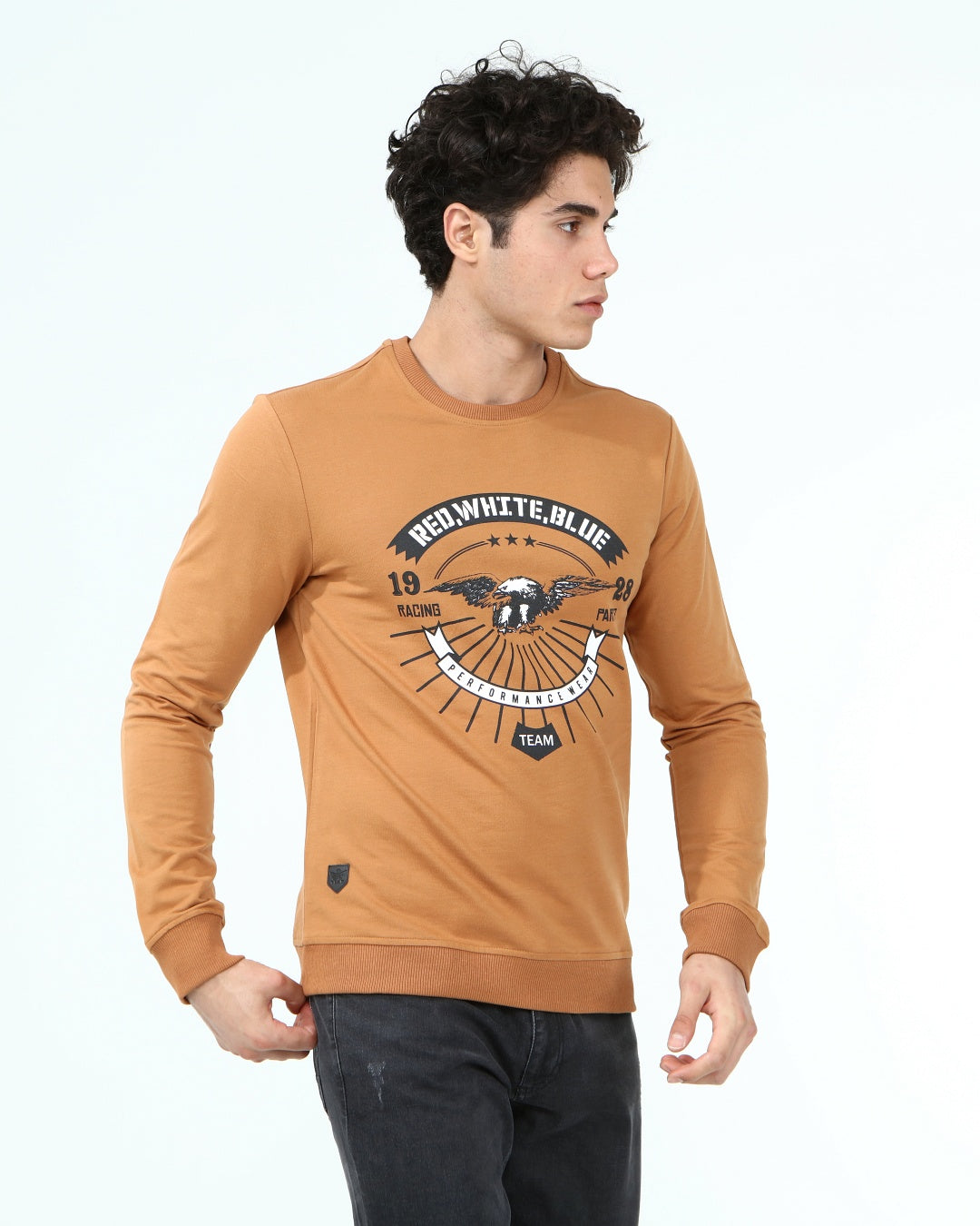 кафяв-суитчър-10-albert-1