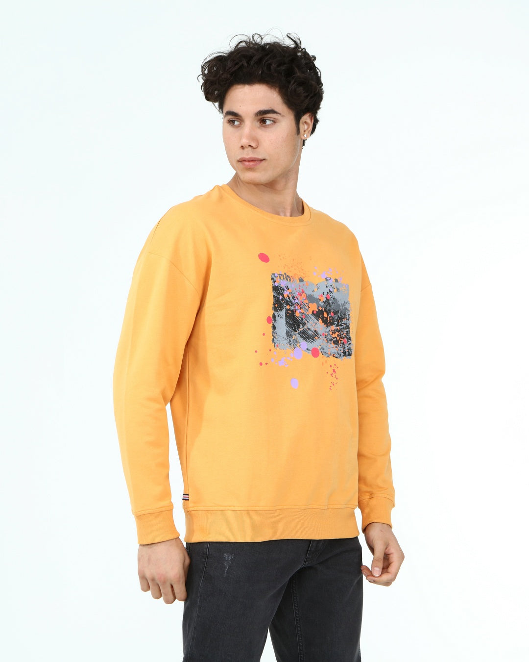 горчица-суитчър-10-andre-1