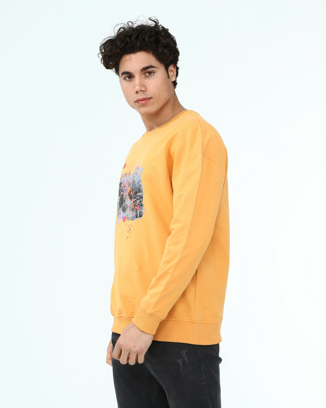 горчица-суитчър-10-andre-1