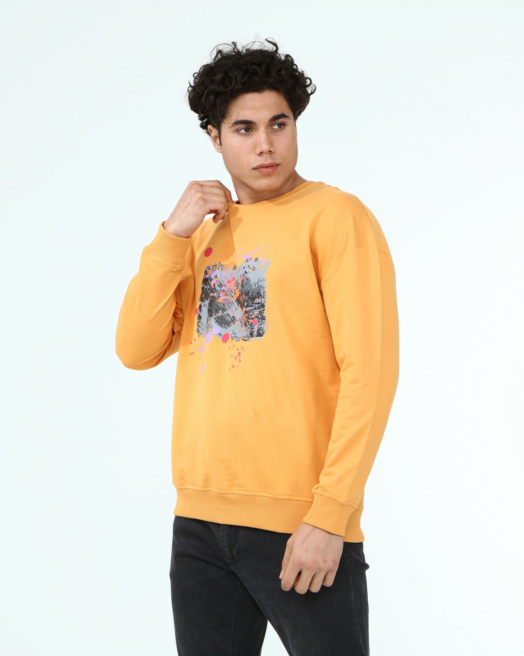 горчица-суитчър-10-andre-1