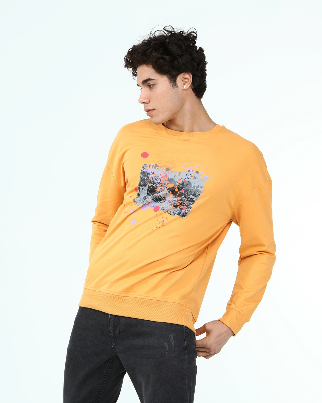 горчица-суитчър-10-andre-1