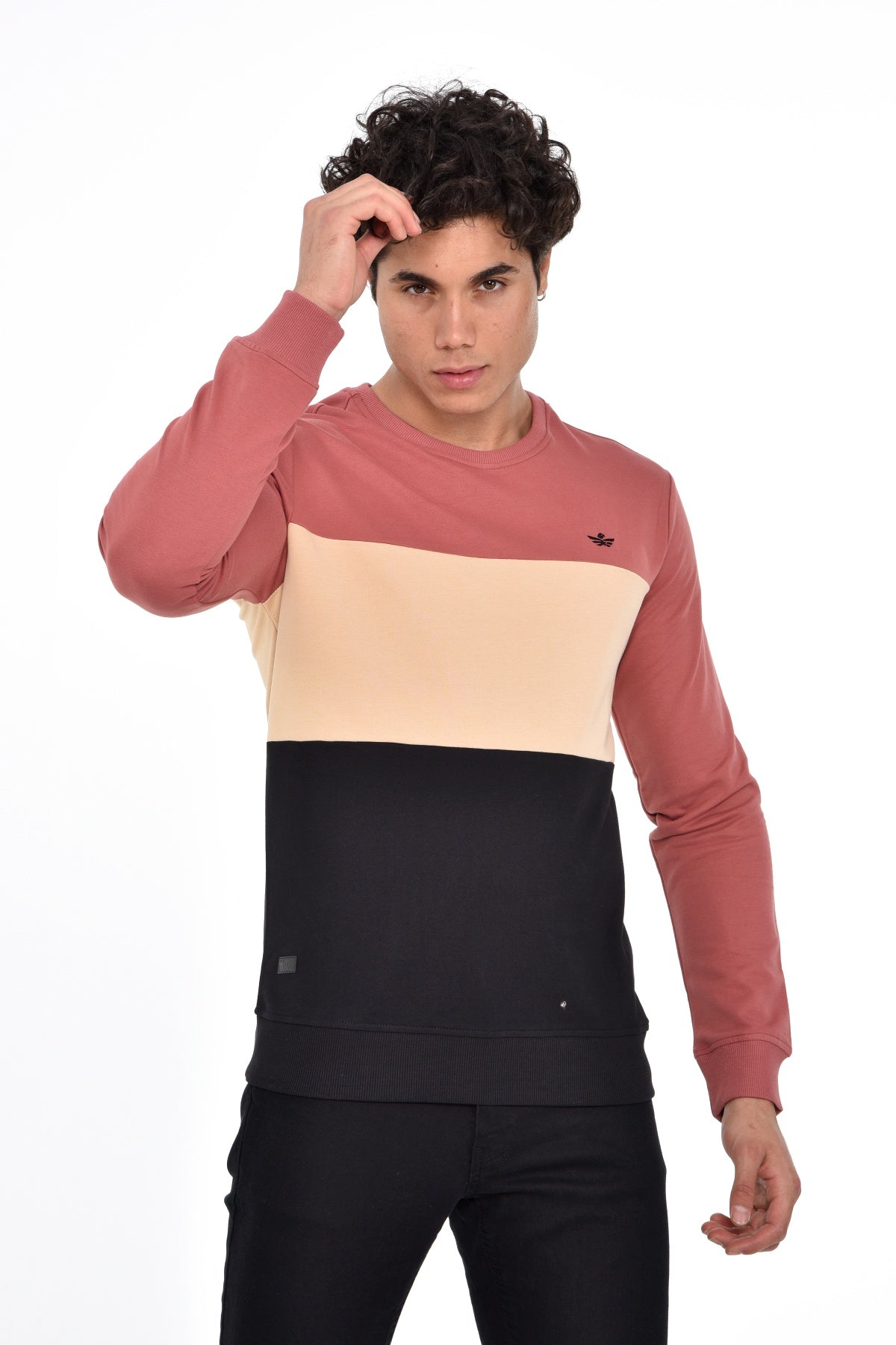 пурпурен-суитчър-10-axel-1