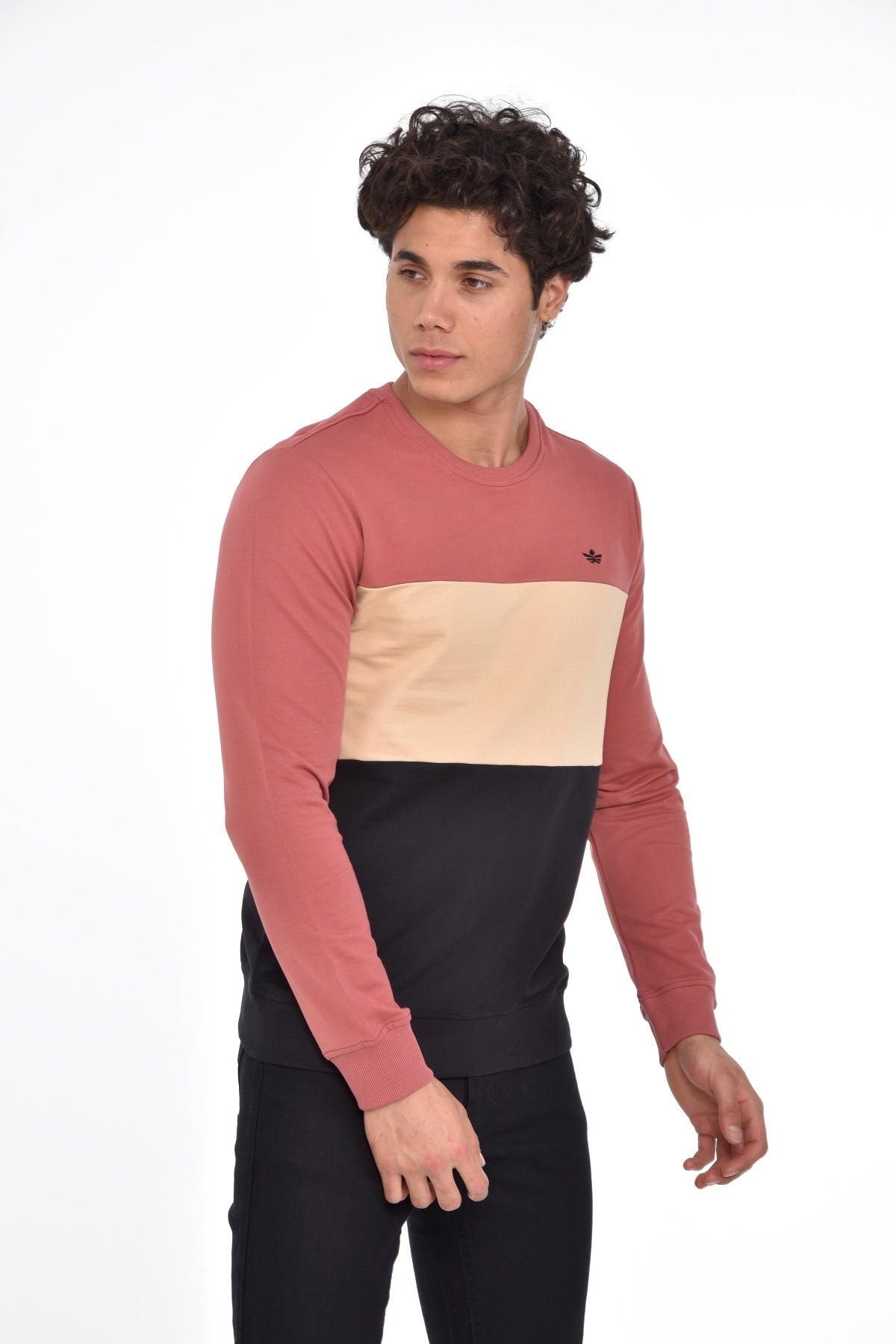 пурпурен-суитчър-10-axel-1