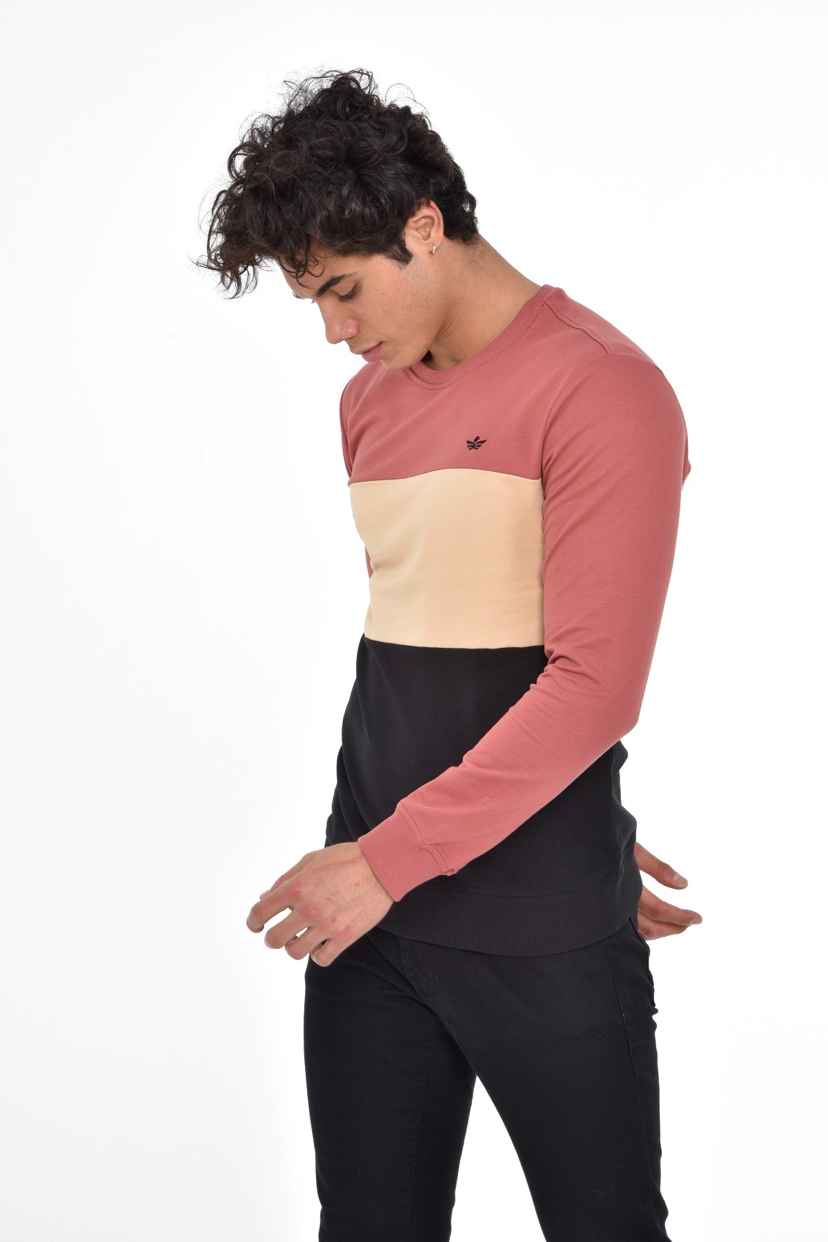 пурпурен-суитчър-10-axel-1