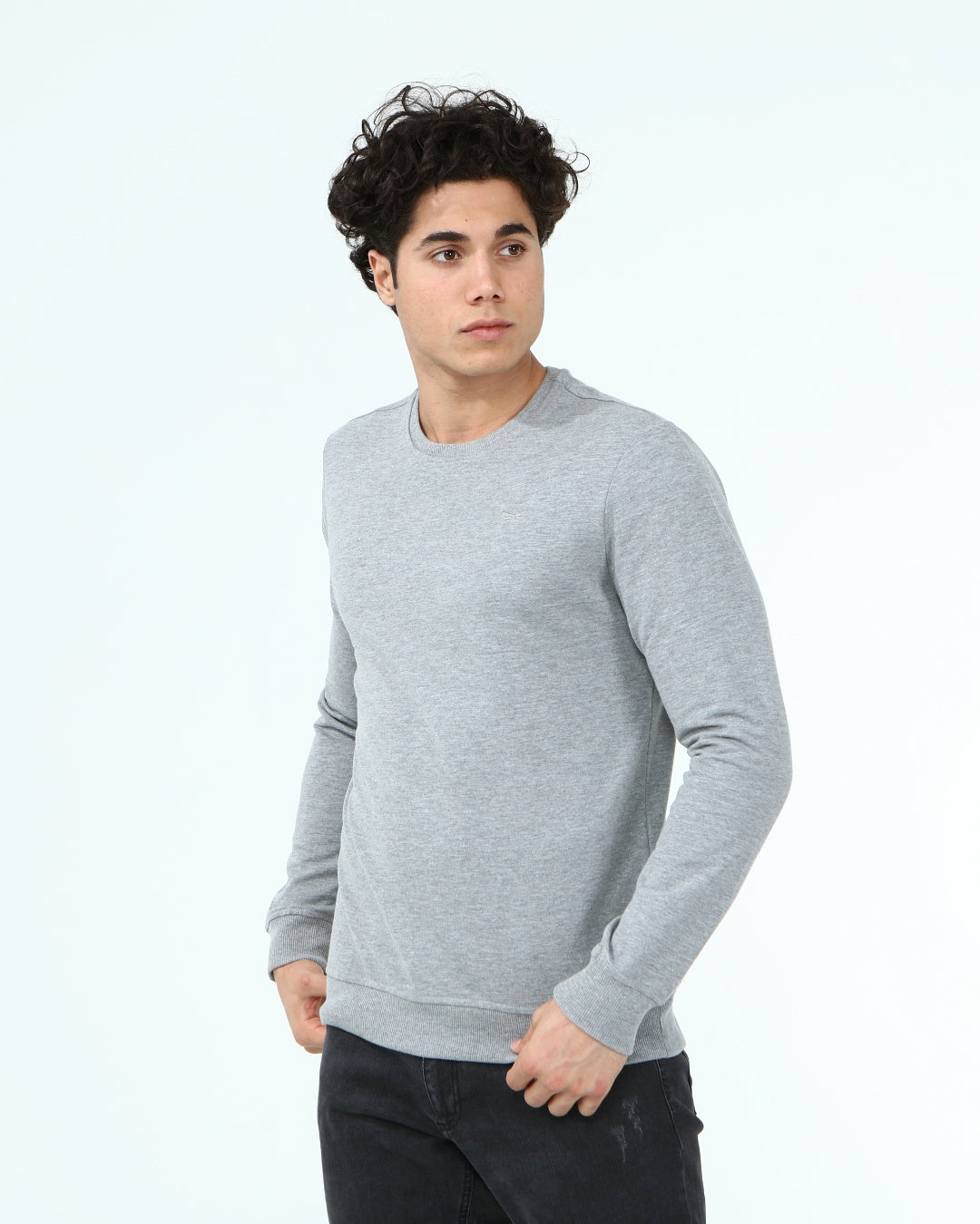 антрацит-суитчър-10-dennis-1