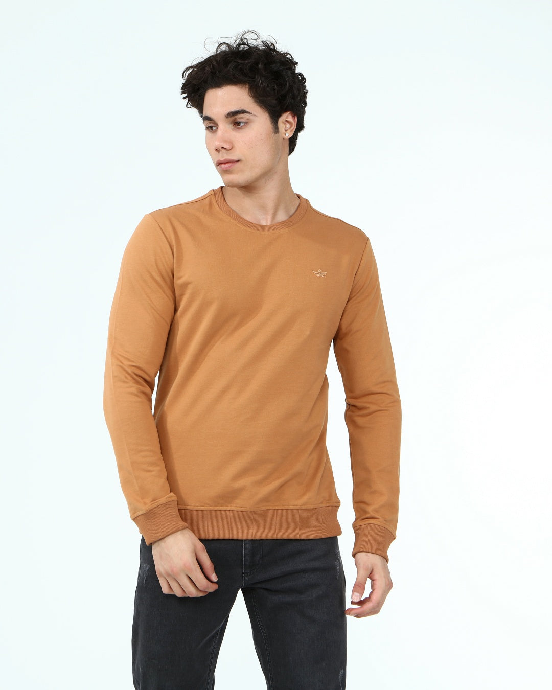 кафяв-суитчър-10-dennis-1