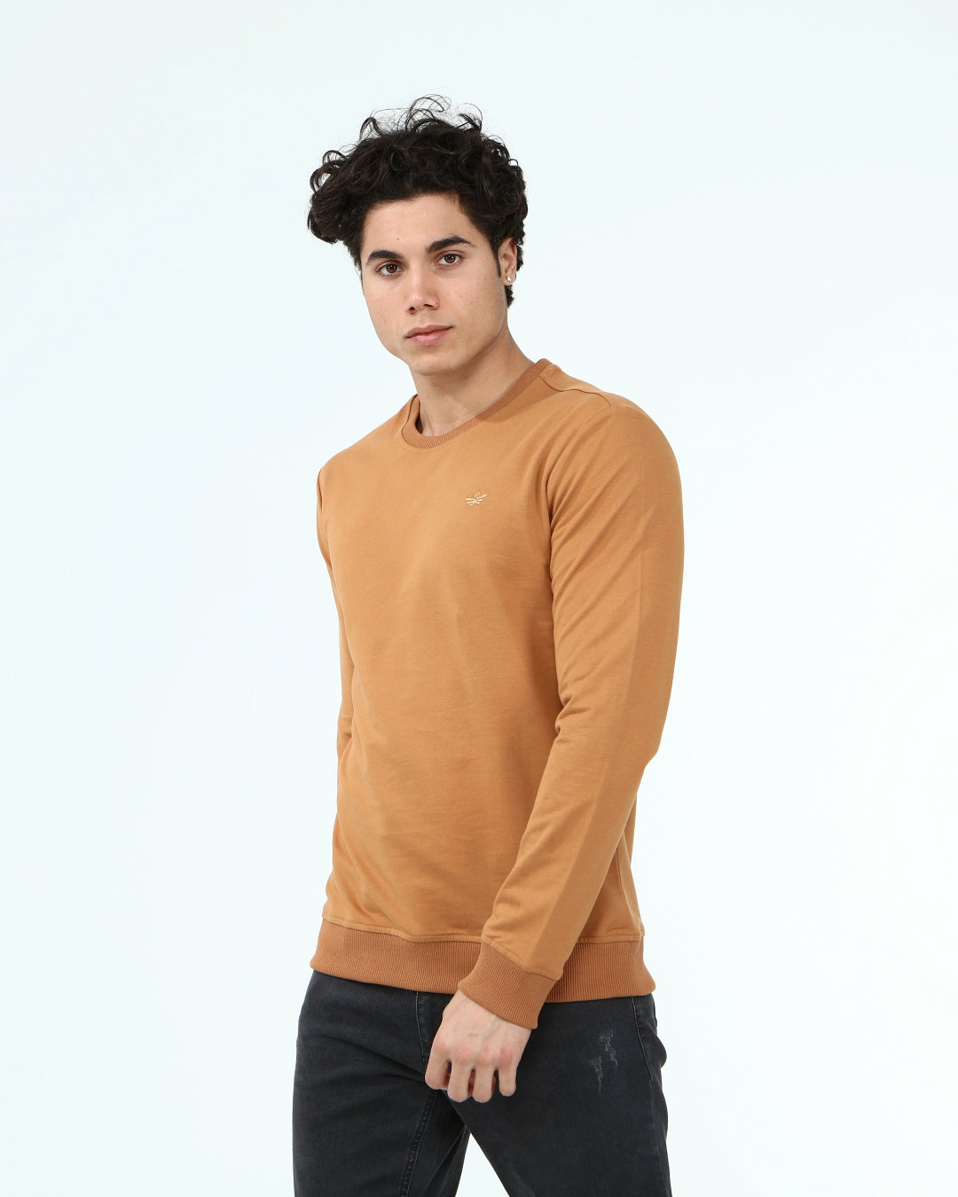 кафяв-суитчър-10-dennis-1