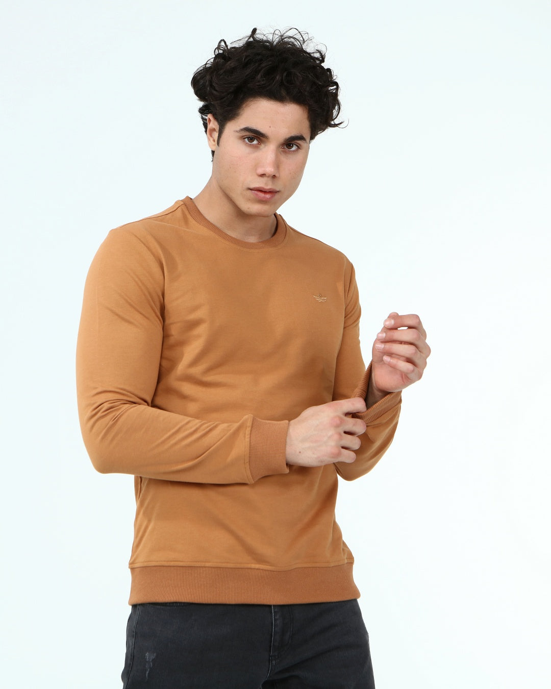 кафяв-суитчър-10-dennis-1