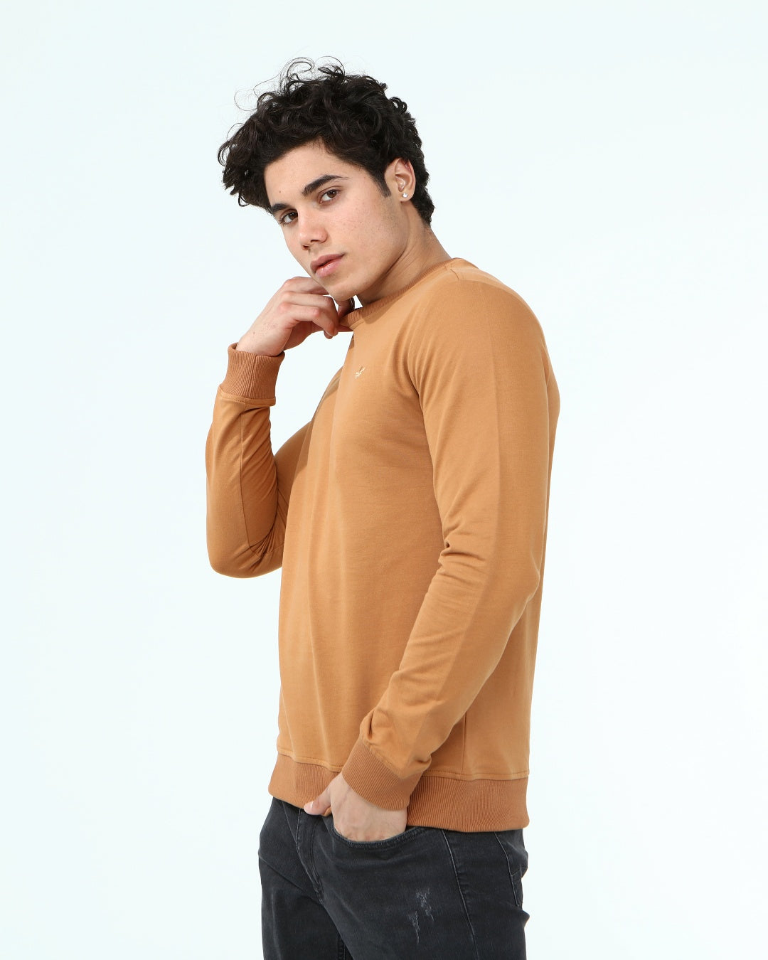 кафяв-суитчър-10-dennis-1