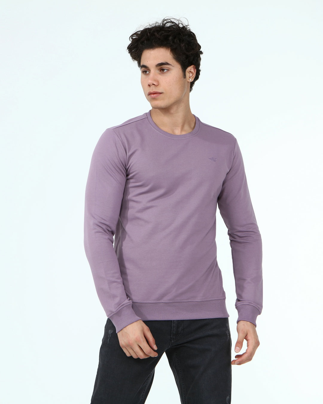 пурпурен-суитчър-10-dennis-1