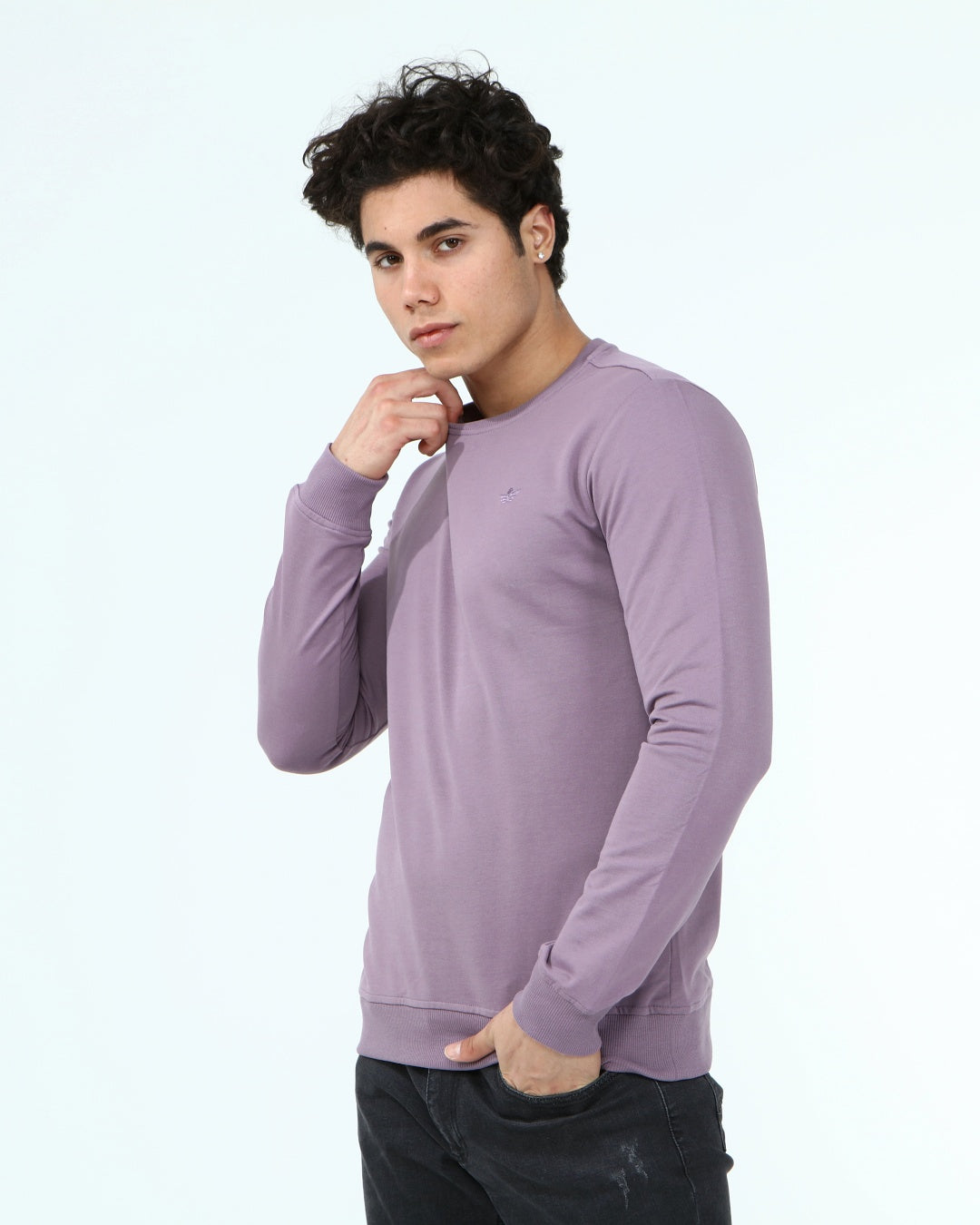 пурпурен-суитчър-10-dennis-1