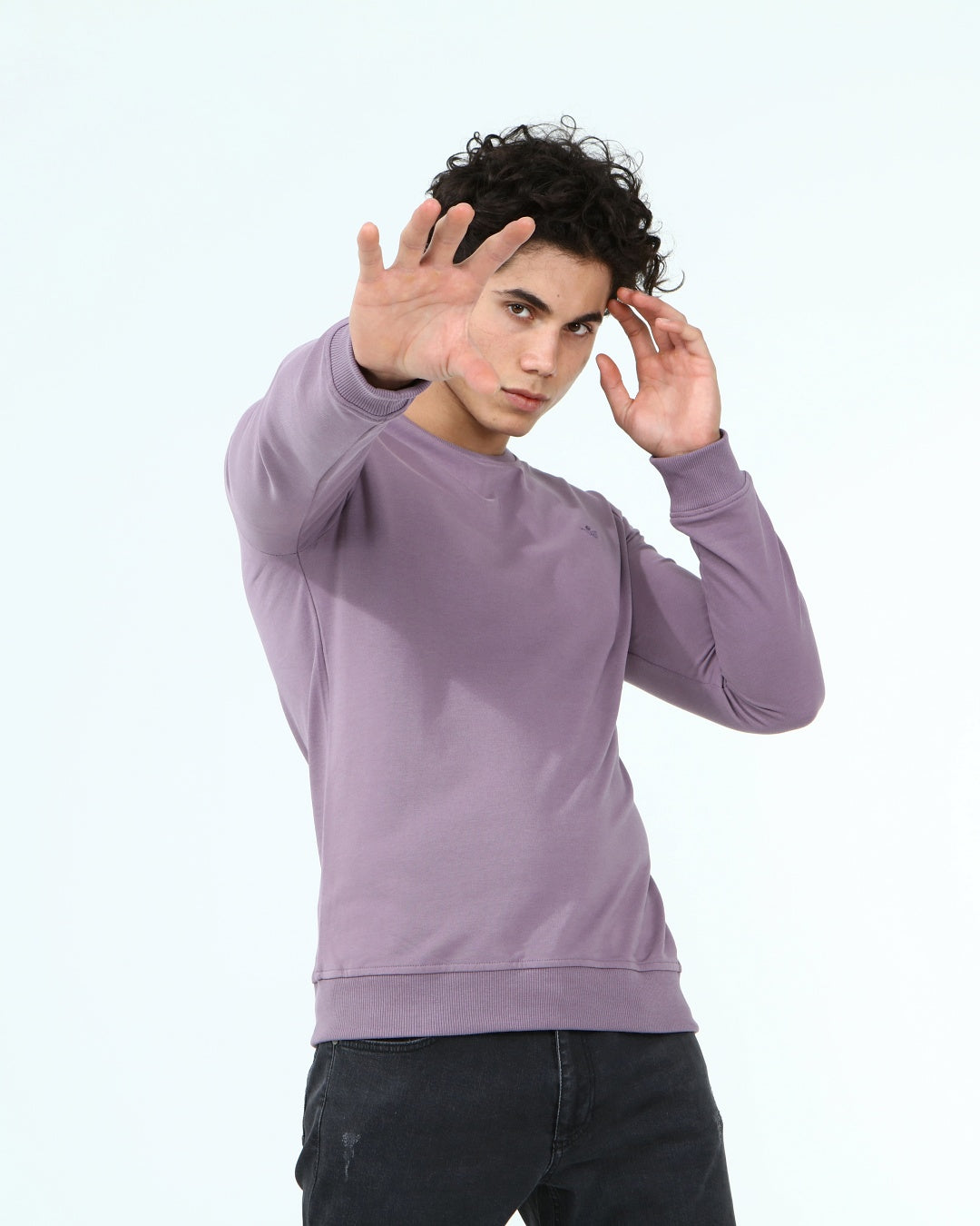 пурпурен-суитчър-10-dennis-1