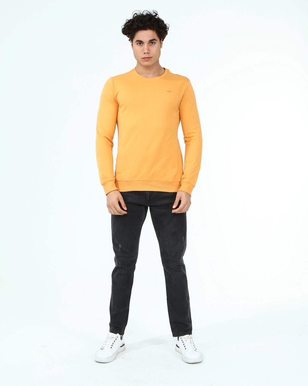 горчица-суитчър-10-dennis-1