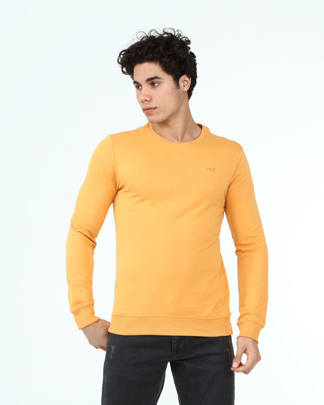 горчица-суитчър-10-dennis-1