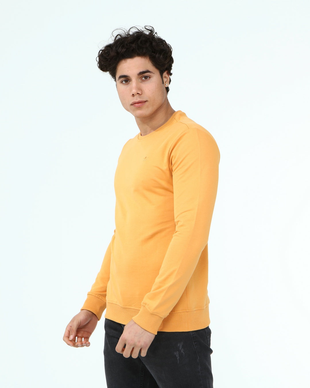 горчица-суитчър-10-dennis-1