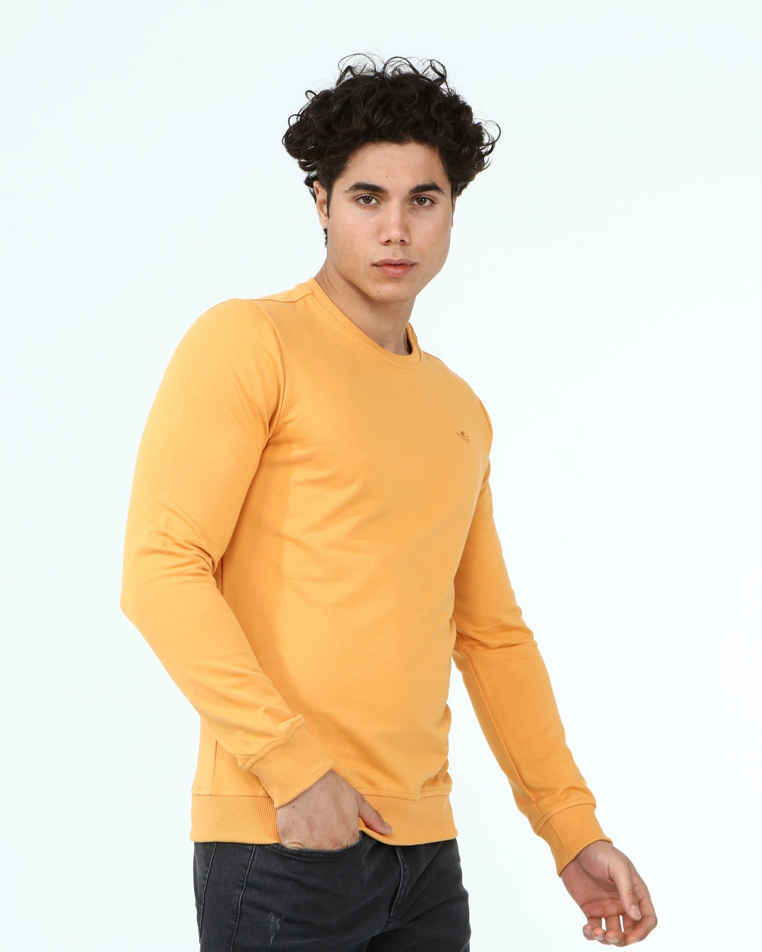 горчица-суитчър-10-dennis-1