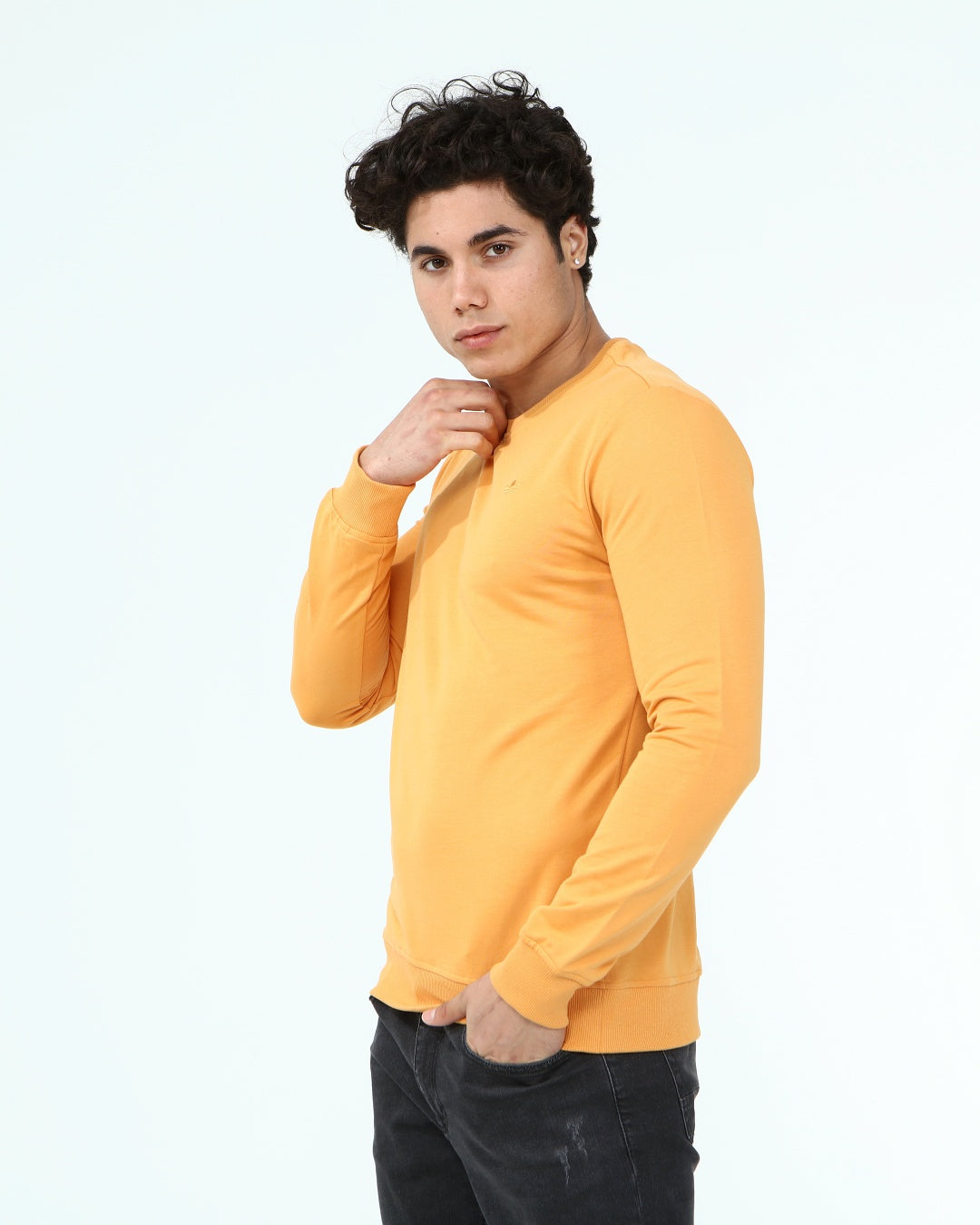 горчица-суитчър-10-dennis-1