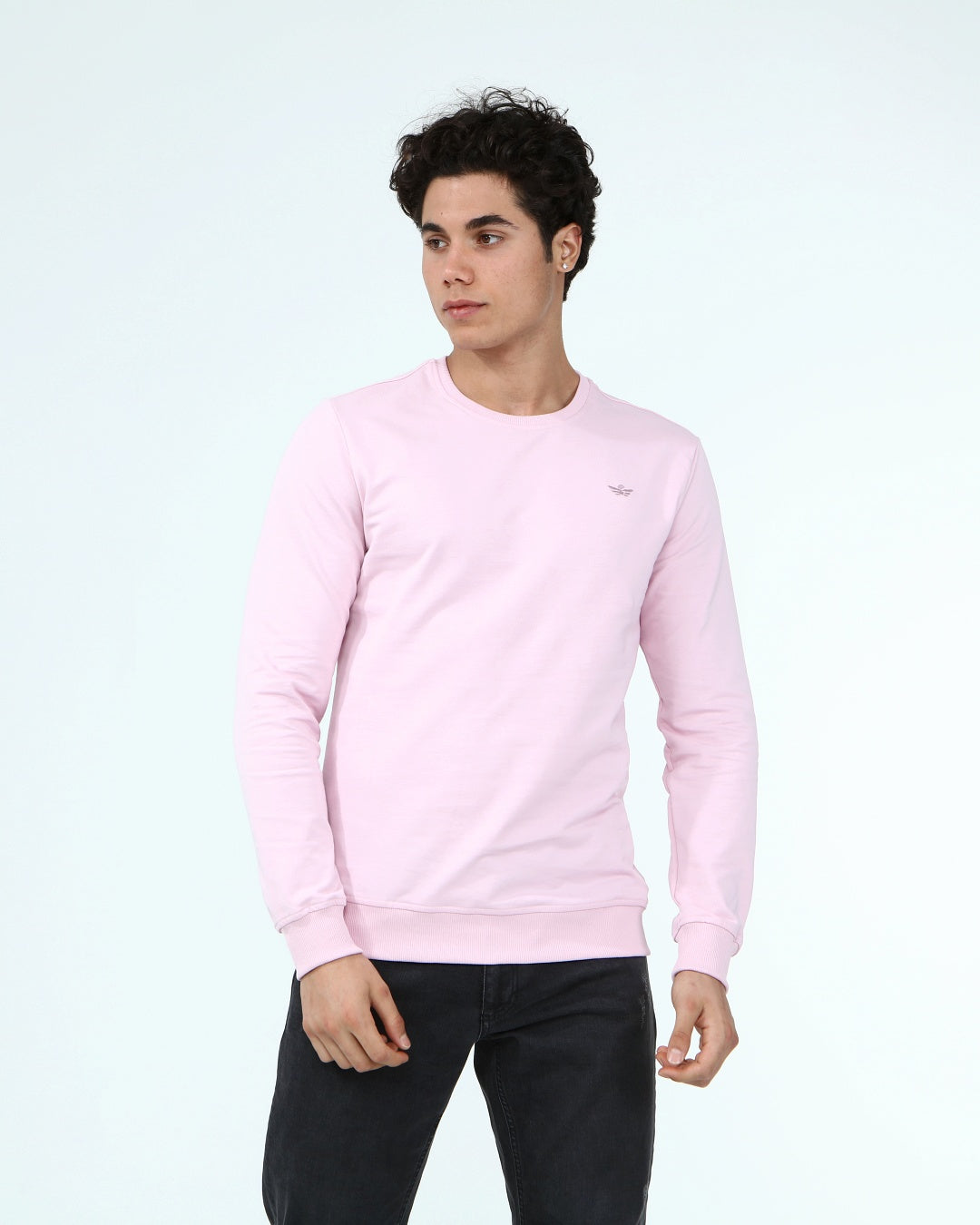 светло-розов-суитчър-10-dennis-1