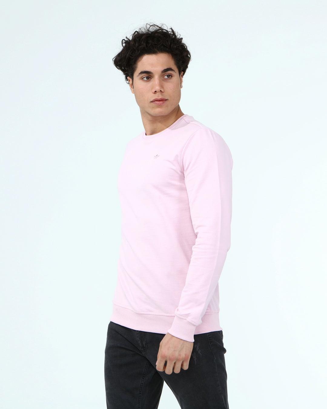 светло-розов-суитчър-10-dennis-1