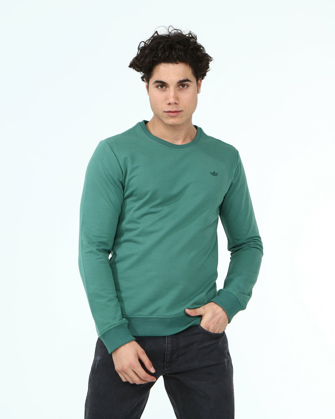 тъмно-зелен-суитчър-10-dennis-1