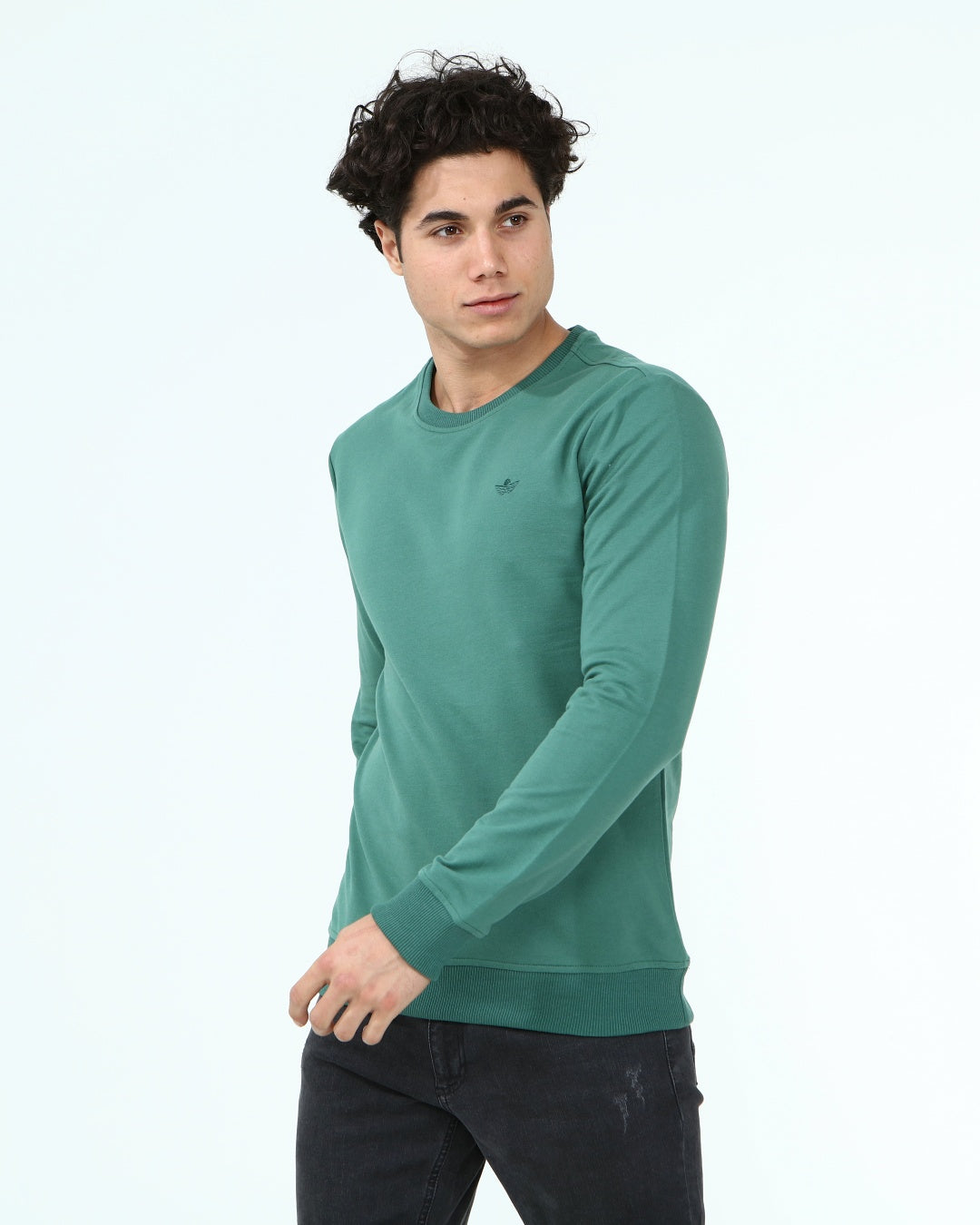 тъмно-зелен-суитчър-10-dennis-1