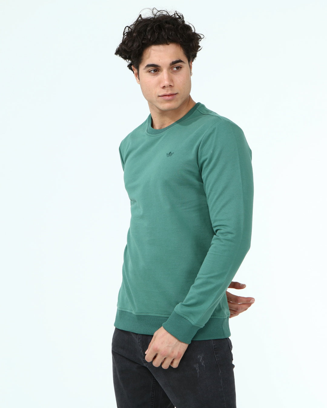 тъмно-зелен-суитчър-10-dennis-1